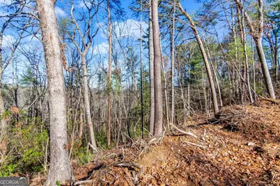 6.44 Whispering Oaks Drive, Ellijay, GA 30540 - Photo 35