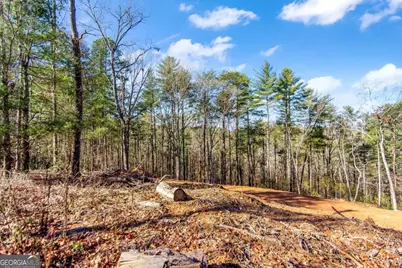 6.44 Whispering Oaks Drive, Ellijay, GA 30540 - Photo 15