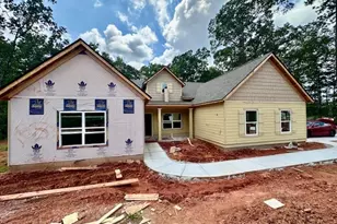 244 Deer Creek Run, Moreland, GA 30259 - Photo 21