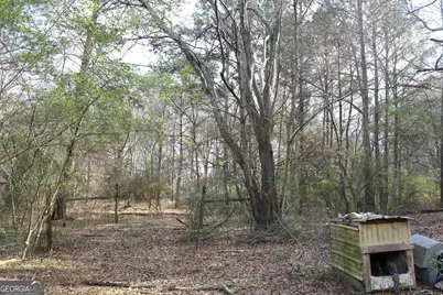 592 Miller McElreath Road, Danielsville, GA 30633 - Photo 7