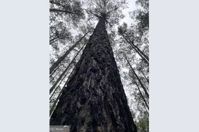 0 Hebron Church Road, Thomaston, GA 30286 - Photo 9