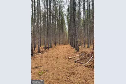 0 Hebron Church Road, Thomaston, GA 30286 - Photo 3
