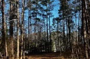 233 Begonia Rd, Sparta, GA 31087 - Photo 27