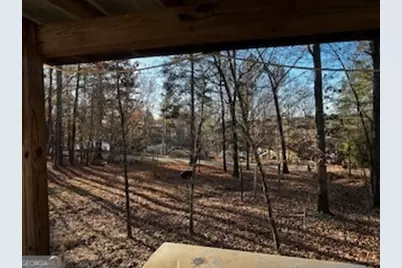 233 Begonia Road, Sparta, GA 31087 - Photo 5