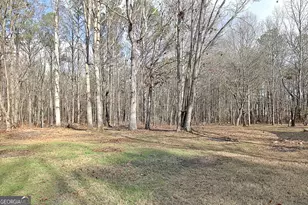 15 Chestlehurst Way, Senoia, GA 30276 - Photo 53