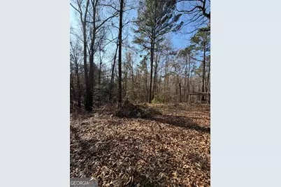 3608 Franklinton Road, Dry Branch, GA 31020 - Photo 3