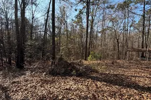 3608 Franklinton Rd, Dry Branch, GA 31020 - Photo 3