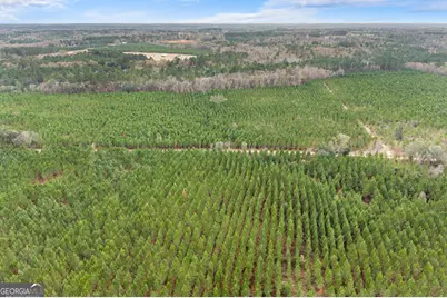 0 Jacob Wilkinson Circle, Claxton, GA 30417 - Photo 9