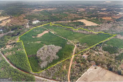 0 Jacob Wilkinson Circle, Claxton, GA 30417 - Photo 5