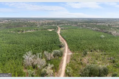 0 Jacob Wilkinson Circle, Claxton, GA 30417 - Photo 3