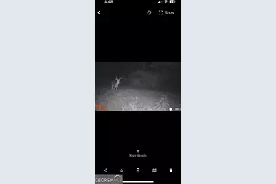 596 Arnett School Road, Sylvania, GA 30467 - Photo 31