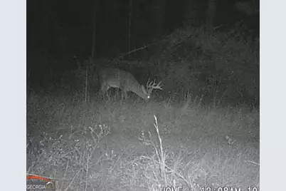 596 Arnett School Road, Sylvania, GA 30467 - Photo 21