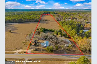 7449 Ga Hwy 355, Box Springs, GA 31801 - Photo 3