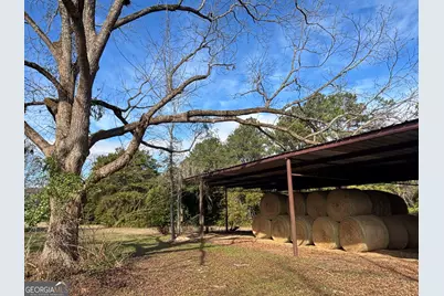 7449 Ga Hwy 355, Box Springs, GA 31801 - Photo 39