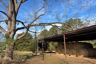 7449 Ga Hwy 355, Box Springs, GA 31801 - Photo 39