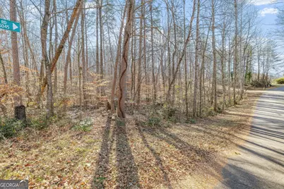 6045 Circle Of Light Drive, Gainesville, GA 30506 - Photo 13