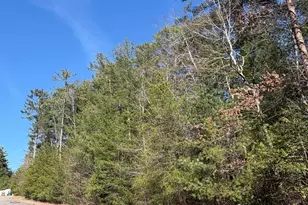 0 Uplander Ct, Rabun Gap, GA 30568 - Photo 1