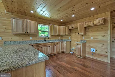 20B Twin Springs Road, Mineral Bluff, GA 30559 - Photo 47