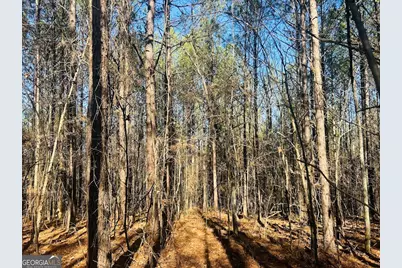 0 Bluff Springs Road, Ashland, AL 36251 - Photo 15