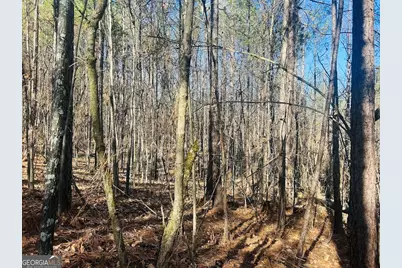 0 Bluff Springs Road, Ashland, AL 36251 - Photo 13