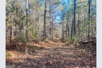 0 Bluff Springs Road, Ashland, AL 36251 - Photo 1