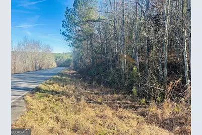 0 Bluff Springs Road, Ashland, AL 36251 - Photo 5