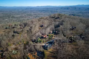 1359 Mountain High Dr, Mineral Bluff, GA 30559 - Photo 57