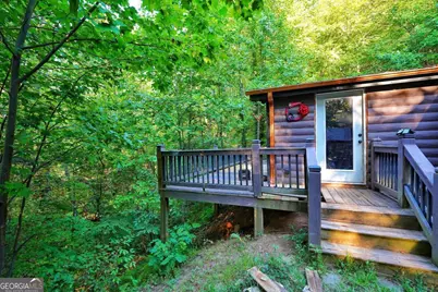 192 Bushy Head Road, Cherry Log, GA 30522 - Photo 3