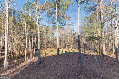 125 Lyndhurst Way, Sharpsburg, GA 30277 - Photo 15