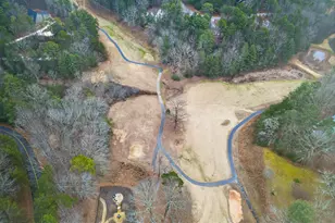 697 Zeppelin Strasse, Helen, GA 30545 - Photo 51