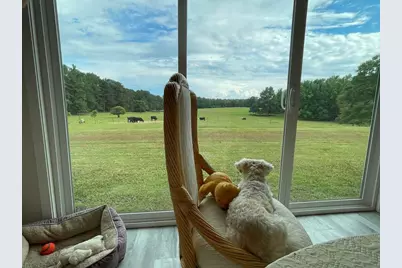 1911 Ellis Road, Hogansville, GA 30230 - Photo 15