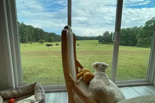 1911 Ellis Rd, Hogansville, GA 30230 - Photo 15