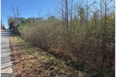 0 Norton Road, Kingston, GA 30145 - Photo 3