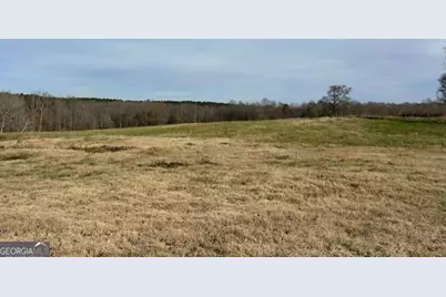 1115 Black Ike Road, Watkinsville, GA 30677 - Photo 27