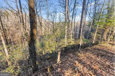 0 River View Lot 12 Trail W, Dahlonega, GA 30533 - Photo 15