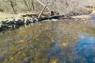 328 Paul's Meadow, Hayesville, NC 28904 - Photo 3