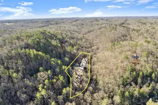 0 River View Trail W Lot 13, Dahlonega, GA 30533 - Photo 1