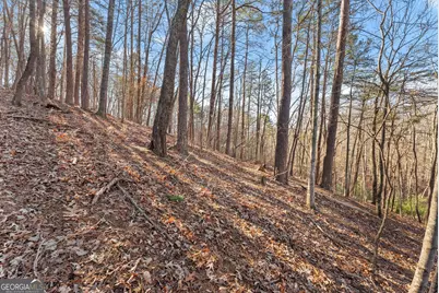 0 Golden Lot 2 Avenue, Dahlonega, GA 30533 - Photo 13
