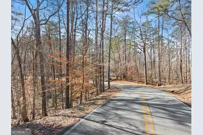 0 Golden Lot 5 Avenue, Dahlonega, GA 30533 - Photo 17
