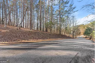 0 Golden Lot 3 Avenue, Dahlonega, GA 30533 - Photo 5