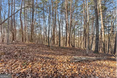 0 Golden Lot 3 Avenue, Dahlonega, GA 30533 - Photo 7