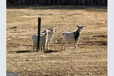 4374 River Road, Manchester, GA 31816 - Photo 7