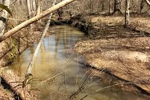 0 Duncan Cir, Jackson, GA 30233 - Photo 1