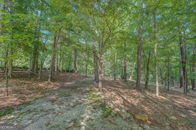 353 Crowell Road N, Covington, GA 30014 - Photo 69