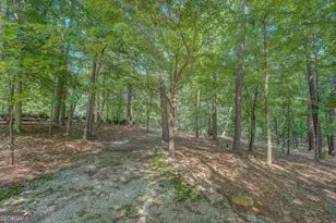 353 Crowell Rd N, Covington, GA 30014 - Photo 69