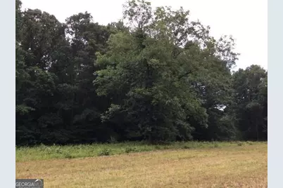 111 Mitchell Road, Fayetteville, GA 30214 - Photo 15