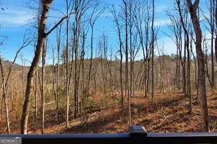 8165 Bridge Creek Rd, Tiger, GA 30576 - Photo 21