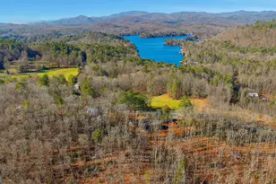 8165 Bridge Creek Rd, Tiger, GA 30576 - Photo 3