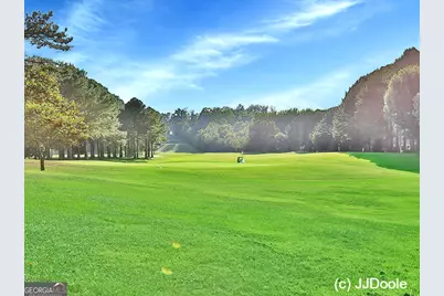 16 Downing Court, Newnan, GA 30265 - Photo 47