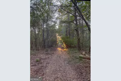 105 Buchanan Road, Americus, GA 31719 - Photo 25